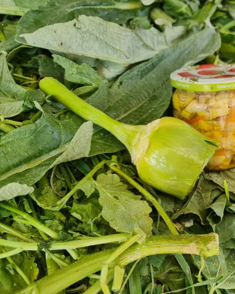 Ege Otları