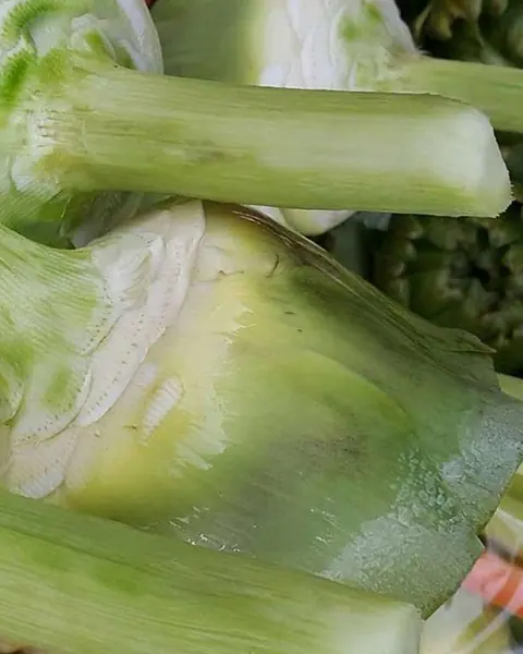 Taze Kadeh Enginar
