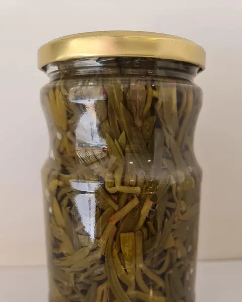 Kaya Koruğu